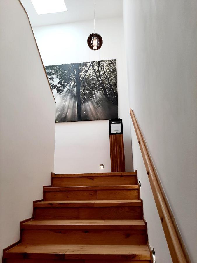 Nobless Apartments Holedna Brno Exterior photo